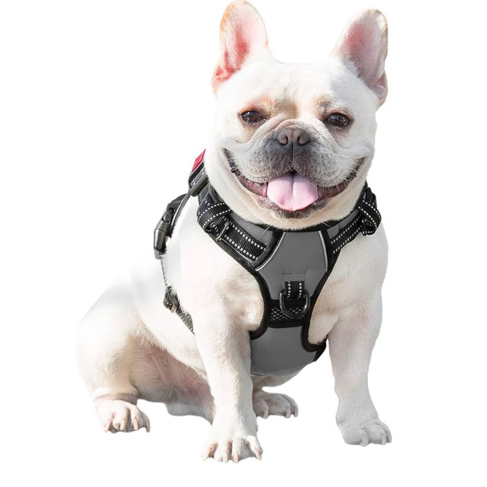 Phoepet dog harness